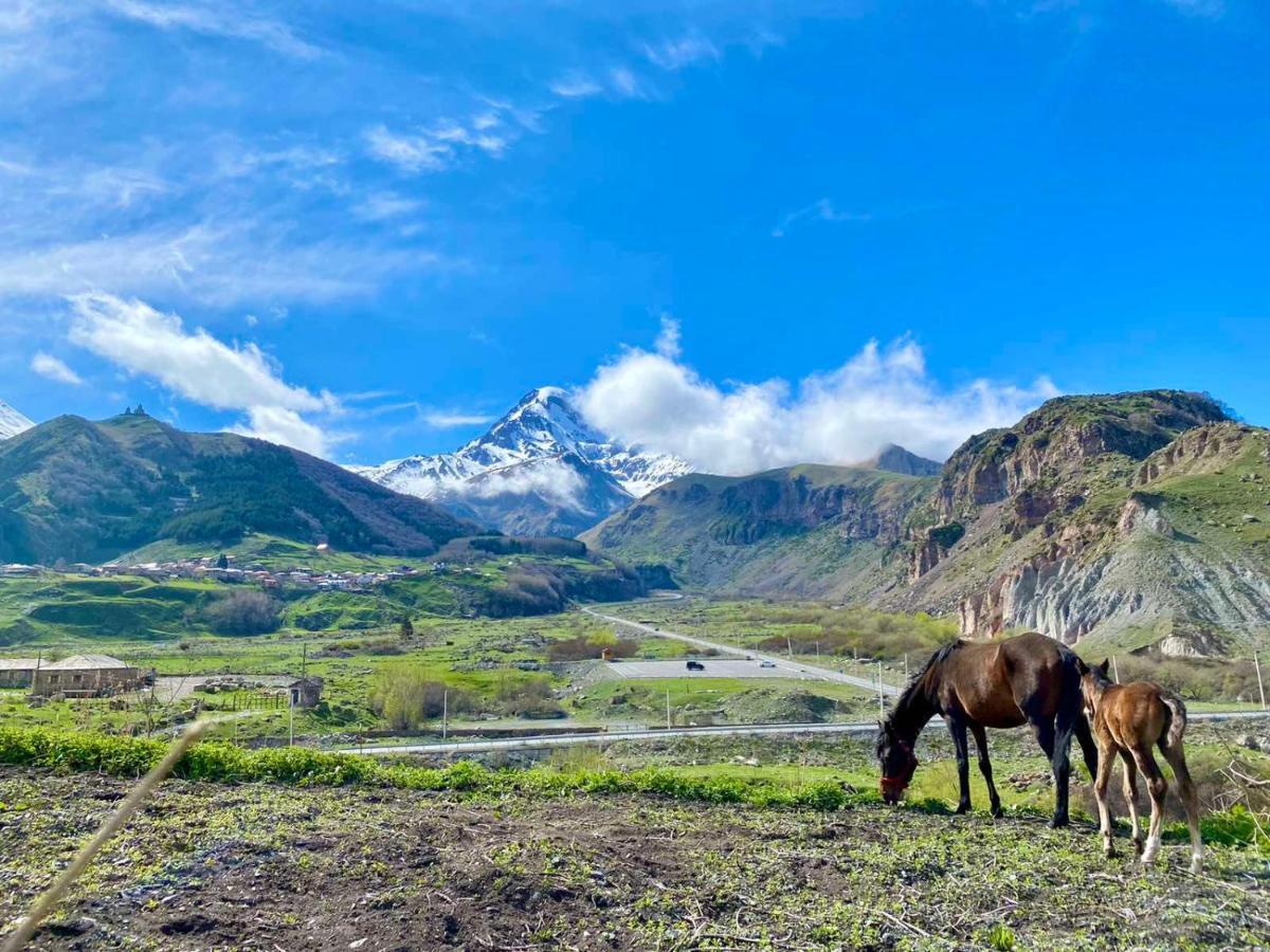 Kazbegi Inn מראה חיצוני תמונה